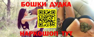 сатива Аргун