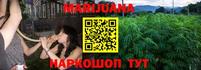 сатива Аргун